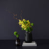 Green (vase included)
